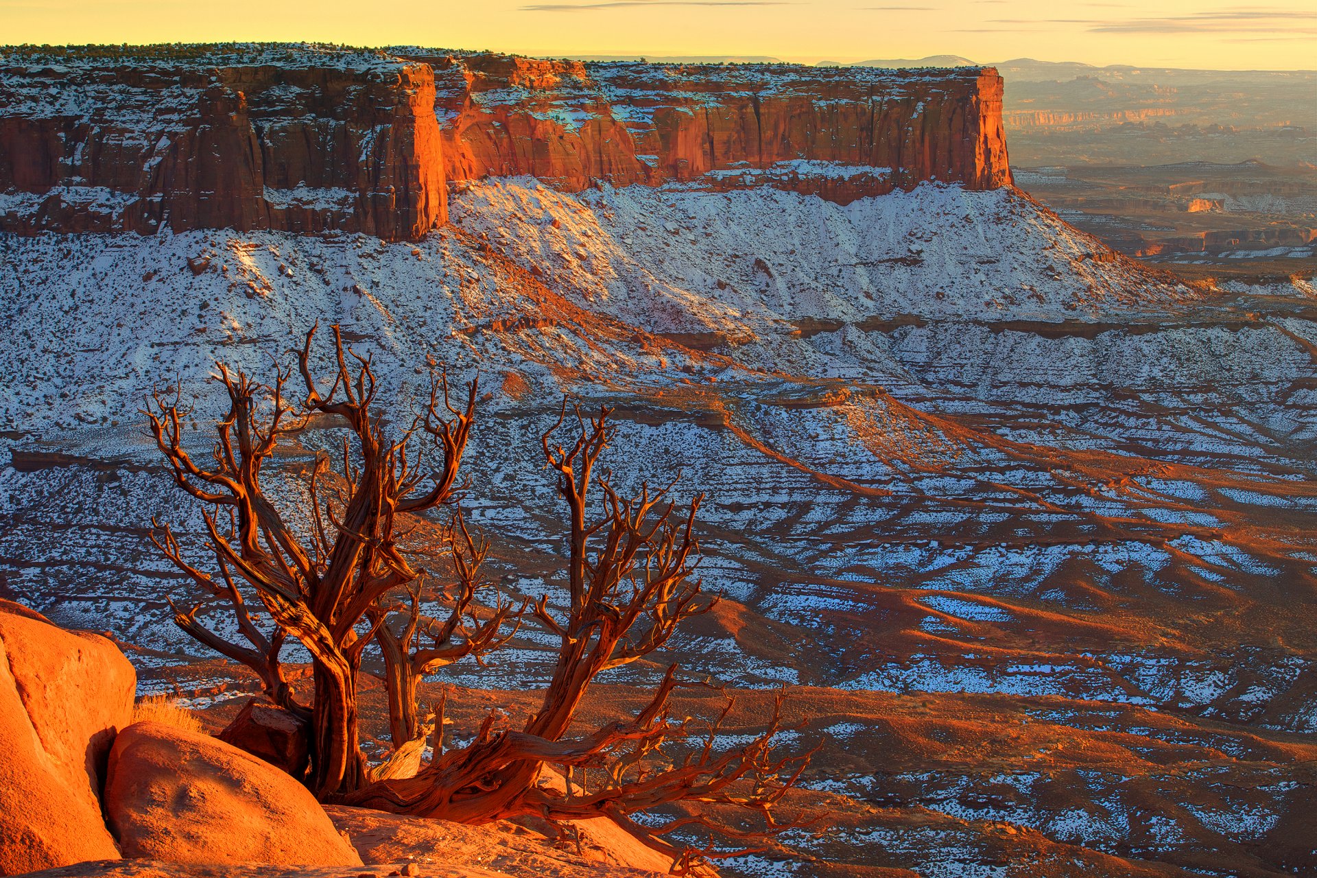 canyonlands utah usa ciel horizon coucher de soleil canyon neige pierres arbre