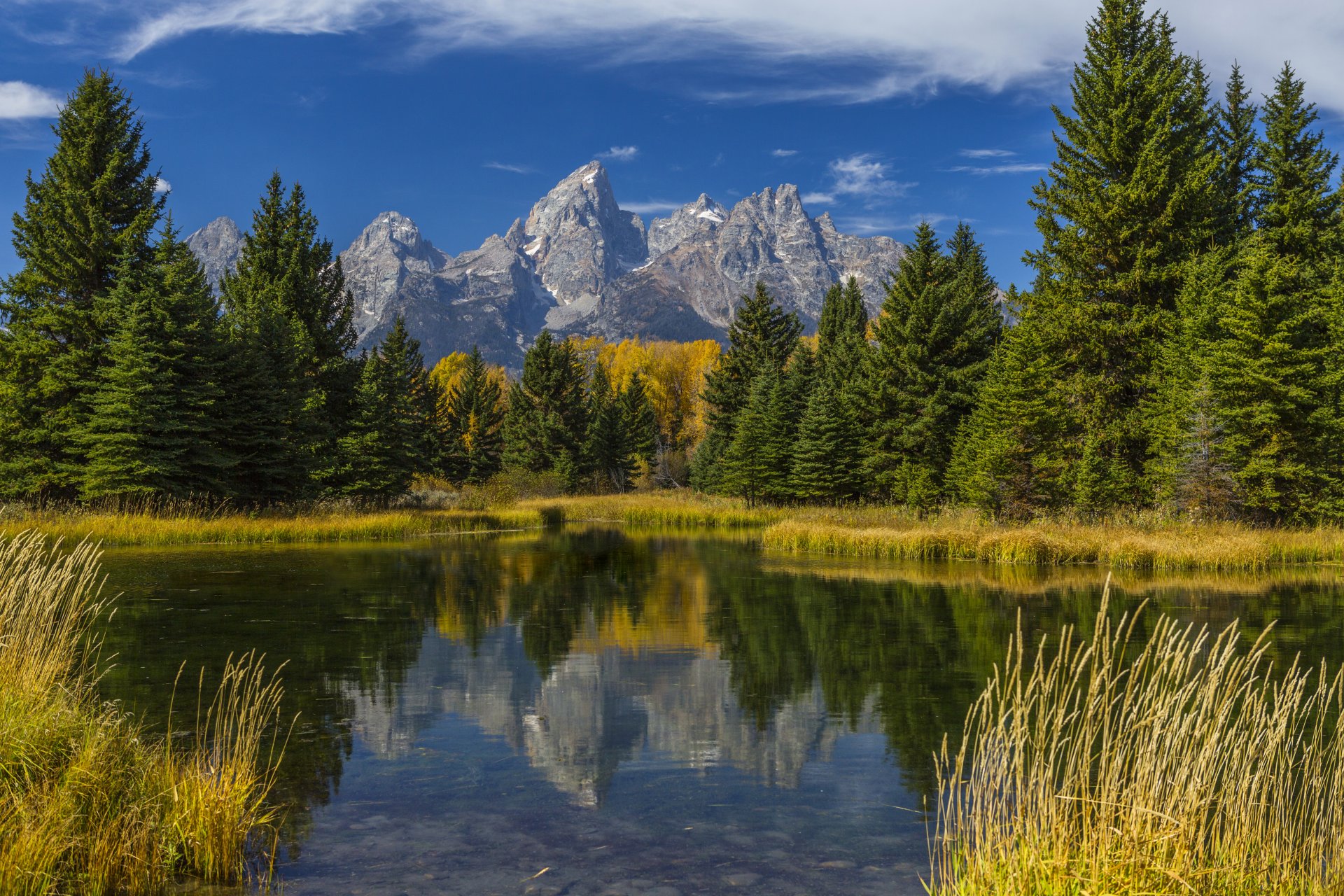 estados unidos grand teton wyoming bosque montañas lago reflexión hierba árboles otoño