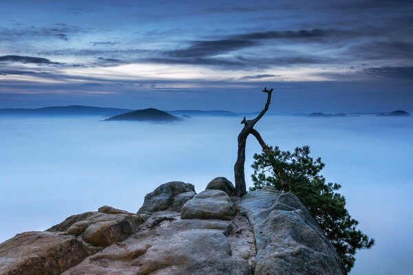 On the cliff of the mountain in the cloudless vastness