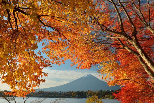 Monte Fuji japonés en otoño