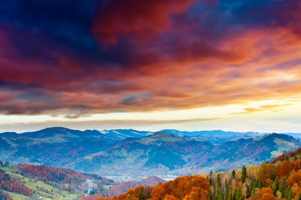 Autumn forest in the mountains under a bright sky