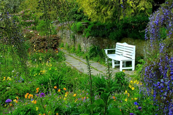 Скамейка в саду среди цветов