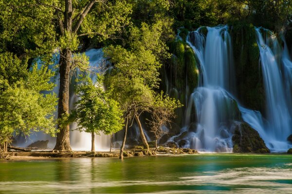 Cascada entre árboles, rocas