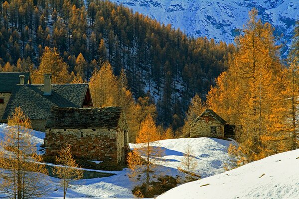 Ein Haus inmitten von Herbstschnee und Wald