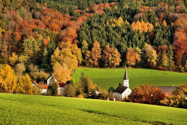 Los tres colores del bosque de otoño