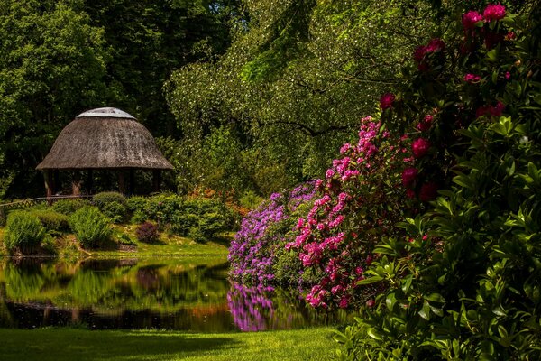 Belvédère dans la nature près de l étang