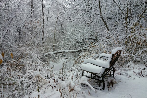 Paesaggio invernale . Alberi e una panchina nella neve