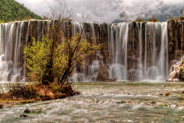 Title hermoso árbol cerca de una cascada elegante