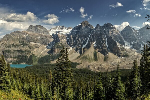 Landscape with high mountains and trees