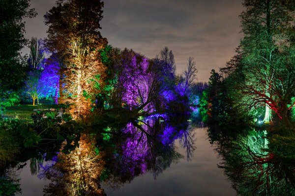 Night in the park. The trees are glowing. Beautiful pond in the park