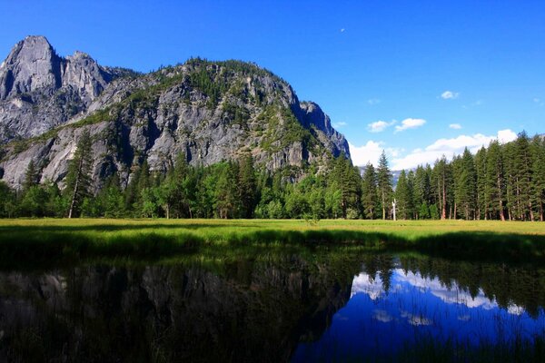 Berge im Wald am See