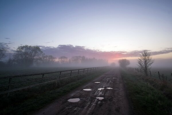 Morning, fog, road to nowhere