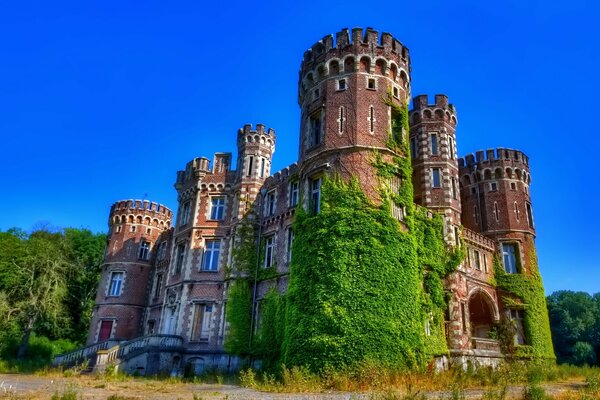 Schloss mit Türmen, bedeckt mit Moos, vor dem Hintergrund des blauen Himmels