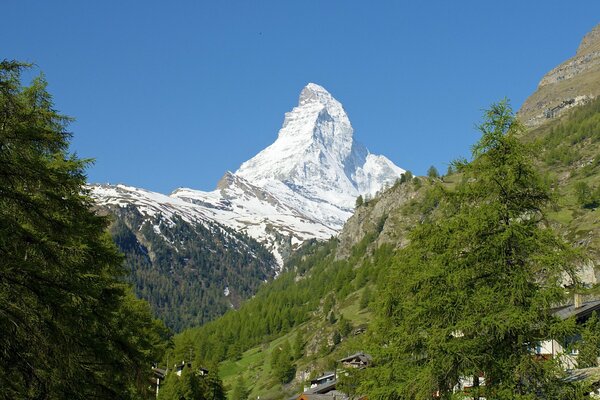 Pente enneigée et arbres en Suisse