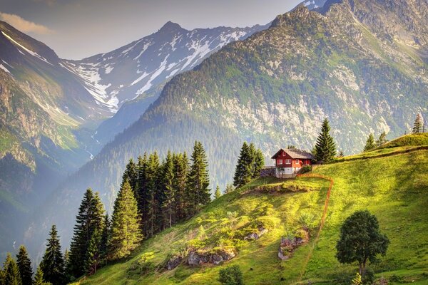 Switzerland. alpine beautiful mountains