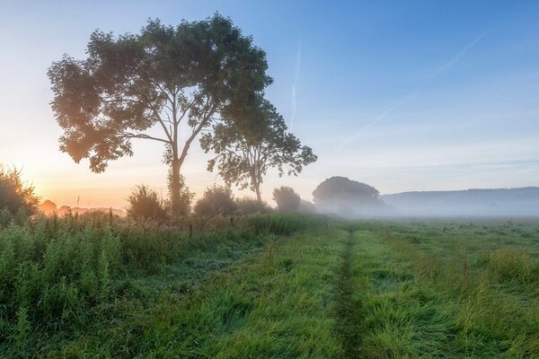 Paesaggio del campo mattutino con nebbia