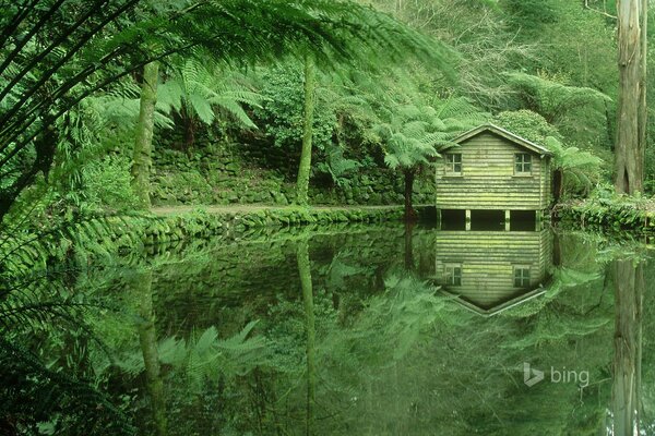 Casa verde con árboles verdes