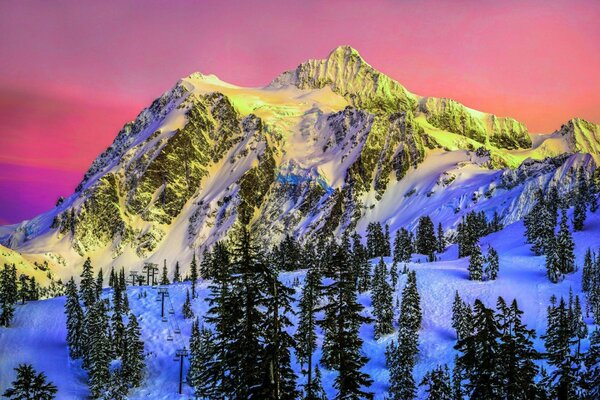 Christmas trees around a snow-covered mountain