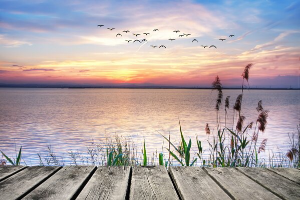 The pier in the rays of the setting sun