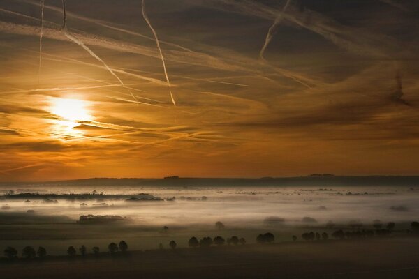 Vallée dans le brouillard. Coucher de soleil, arbres dans le champ