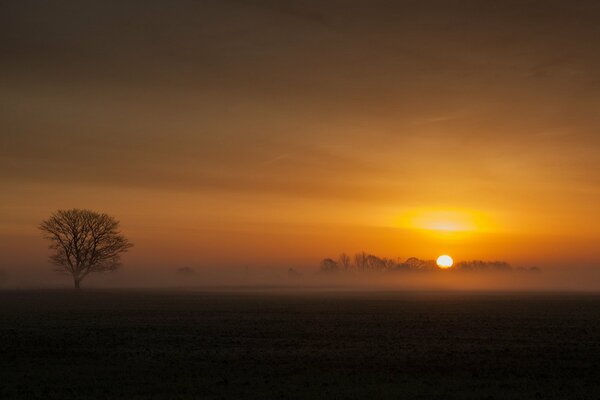 Vue du coucher de soleil dans le brouillard sur fond de nature