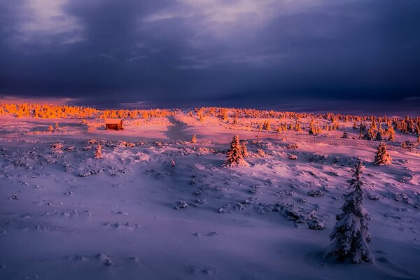 Winter morning is a wonderful time of day