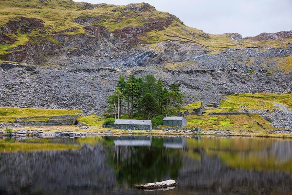 A small forest surrounded by stone mountains