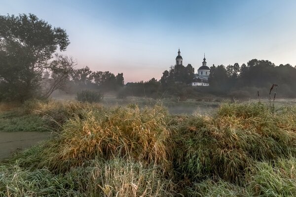 Landscape of the temple in the field