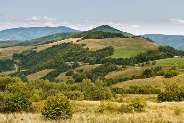 Belle montagne avec forêt et champs