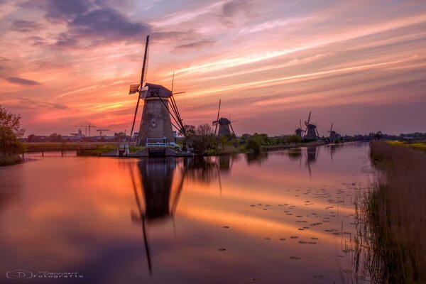 Windmills in the evening on the river