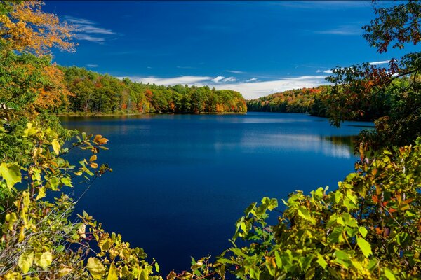 Der Herbst kam am Rockwood Lake an