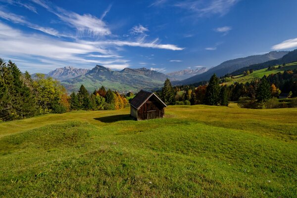 A house in the Alps on a meadow