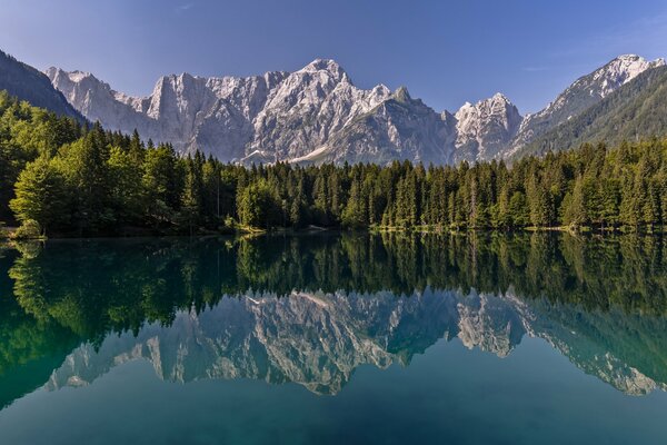 Die Reflexion von Bergen und Wäldern im See ist wie in einem Spiegel