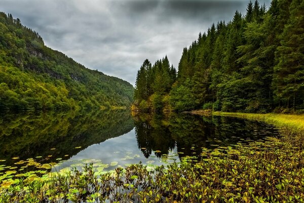 Der Waldsee ist am saubersten