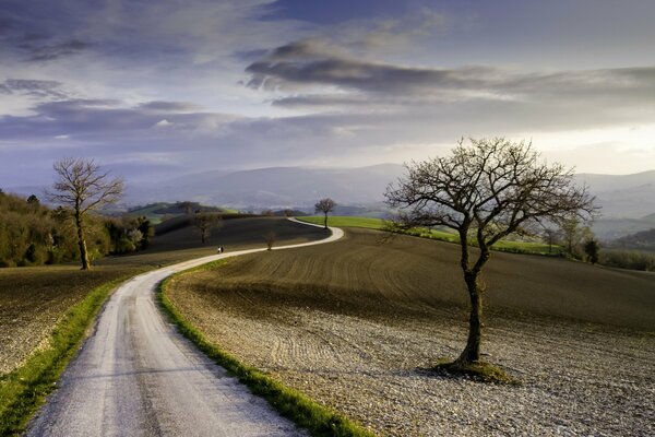 Un largo camino en el campo