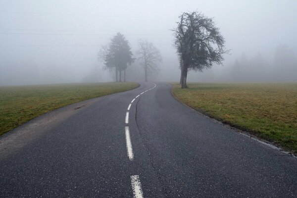 Morgennebel, wenn du auf dem Heimweg im Auto aufwachst