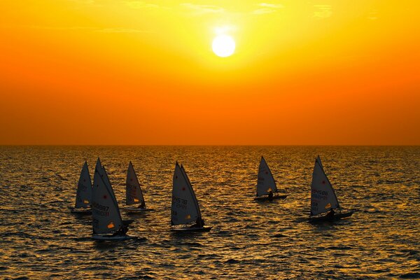 Coucher de soleil au bord de la mer. six bateaux