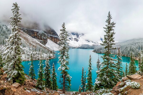 A lake among mountains and forests