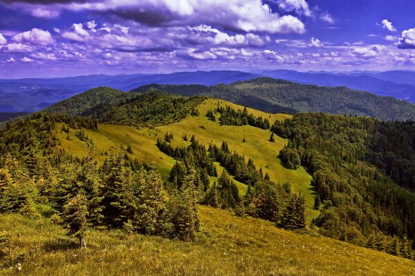 Carpathian Mountains in Ukraine in summer