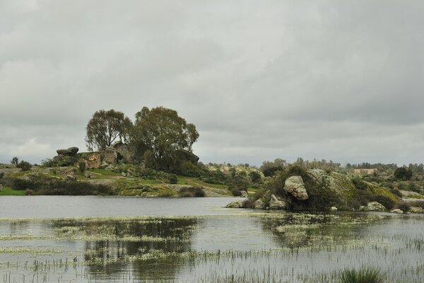 Immagine del fiume che emerge dalle rive