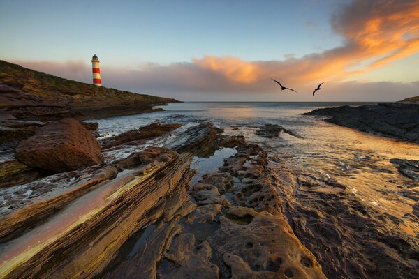 Faro y gaviotas en el cielo sobre el mar