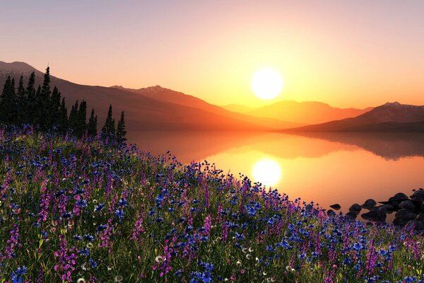 A meadow of beautiful flowers on a sunset background