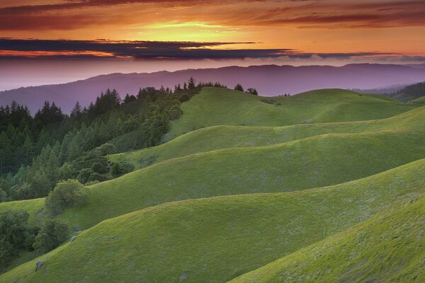Green hills on sunset background