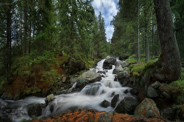 National Park of Bulgaria