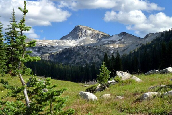 Sommet vert de montagne dans les nuages