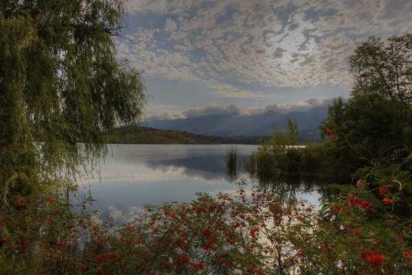 Pittura A Olio . lago, nuvole blu estate