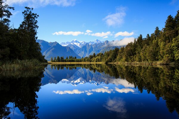 Alpine mountains in the shade of spreading trees