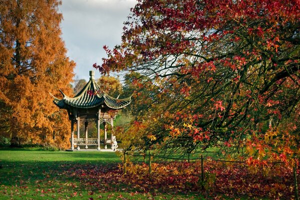 Autumn trees in the garden with a gazebo