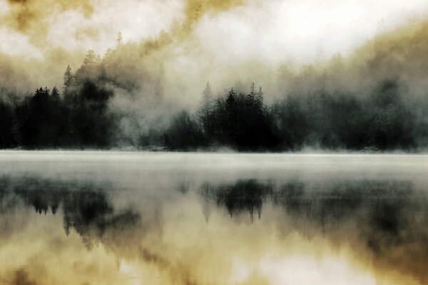 Отражение туманного леса в озере