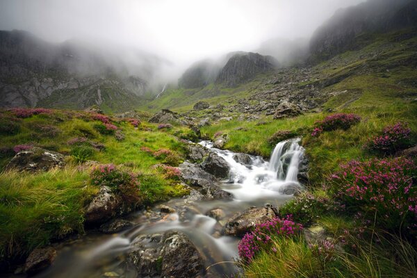 England. a stream in the valley of the mountains